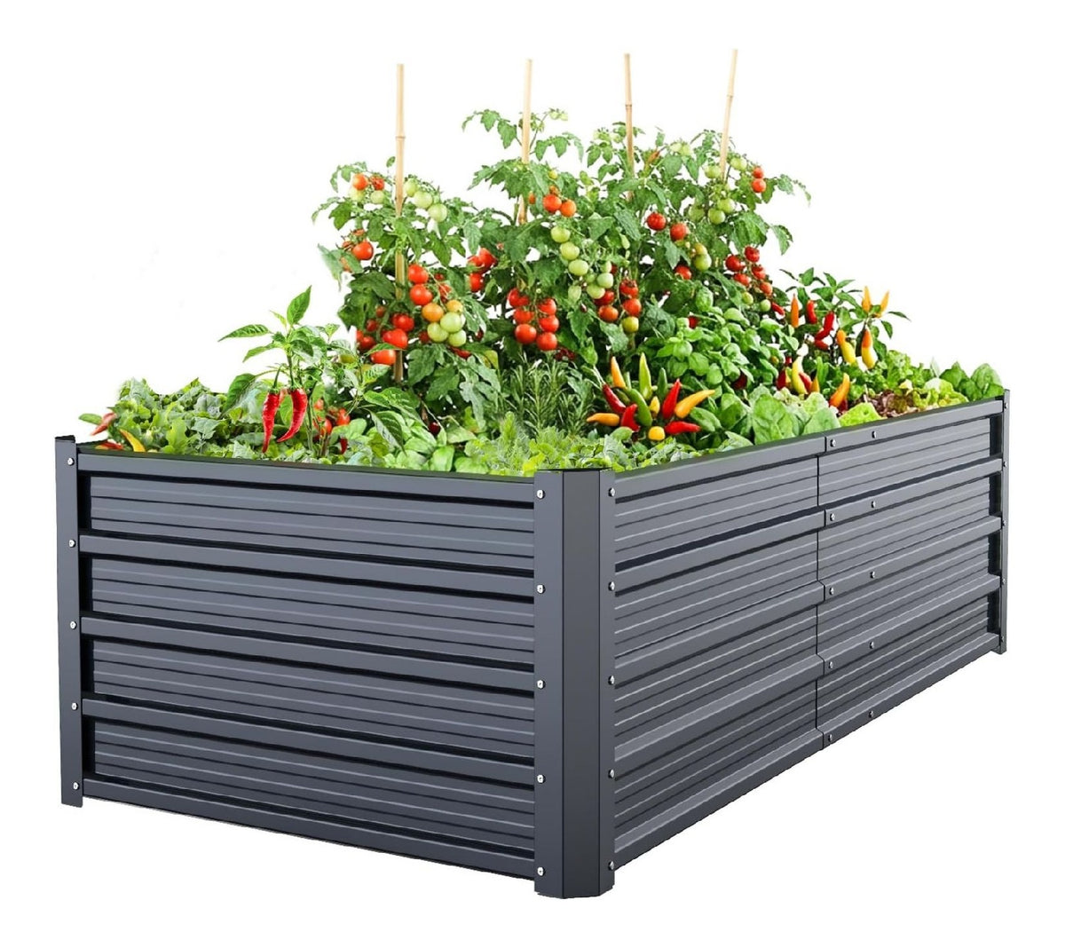 Capacita extra grande piu Kit per giardini fuori terra 0,15 m 0,46 m