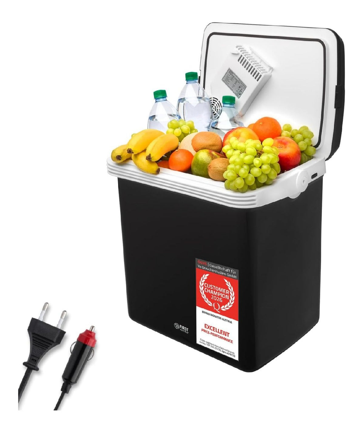 Frigoriferi 58W 32L con POTENTE sistema termoelettrico raffredda