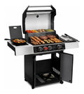 Griglie a propano per uso esterno barbecue Fireplus presenta design